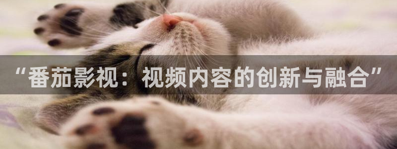 神马影院食物链